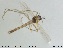  ( - MM-CH38)  @11 [ ] CreativeCommons - Attribution Share-Alike (2019) NTNU Museum of Natural History and Archaeology NTNU Museum of Natural History and Archaeology