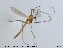  ( - MM-CH42)  @12 [ ] CreativeCommons - Attribution Share-Alike (2019) NTNU Museum of Natural History and Archaeology NTNU Museum of Natural History and Archaeology