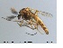  ( - MM-CH50)  @11 [ ] CreativeCommons - Attribution Share-Alike (2019) NTNU Museum of Natural History and Archaeology NTNU Museum of Natural History and Archaeology