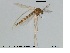  ( - MM-CH54)  @11 [ ] CreativeCommons - Attribution Share-Alike (2019) NTNU Museum of Natural History and Archaeology NTNU Museum of Natural History and Archaeology