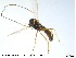  ( - MM-CH59)  @11 [ ] CreativeCommons - Attribution Share-Alike (2019) NTNU Museum of Natural History and Archaeology NTNU Museum of Natural History and Archaeology