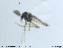  ( - MM-CH67)  @12 [ ] CreativeCommons - Attribution Share-Alike (2019) NTNU Museum of Natural History and Archaeology NTNU Museum of Natural History and Archaeology