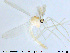  ( - MM-CH85)  @11 [ ] CreativeCommons - Attribution Share-Alike (2019) NTNU Museum of Natural History and Archaeology NTNU Museum of Natural History and Archaeology