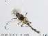  ( - MM-CH90)  @11 [ ] CreativeCommons - Attribution Share-Alike (2019) NTNU Museum of Natural History and Archaeology NTNU Museum of Natural History and Archaeology