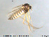  ( - MM-CH93)  @11 [ ] CreativeCommons - Attribution Share-Alike (2019) NTNU Museum of Natural History and Archaeology NTNU Museum of Natural History and Archaeology