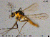  ( - MM-CH97)  @11 [ ] Creative Commons  Attribution Non-Commercial Share-Alike (2020) NTNU University Museum, Department of Natural History NTNU University Museum, Department of Natural History
