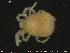  ( - HYDCA168)  @11 [ ] Creative Commons  Attribution Non-Commercial Share-Alike (2019) NTNU University Museum, Department of Natural History NTNU University Museum, Department of Natural History