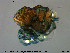  ( - HYDCA310)  @11 [ ] Creative Commons  Attribution Non-Commercial Share-Alike (2019) NTNU University Museum, Department of Natural History NTNU University Museum, Department of Natural History