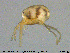  ( - HYDCA346)  @11 [ ] Creative Commons  Attribution Non-Commercial Share-Alike (2020) NTNU University Museum, Department of Natural History NTNU University Museum, Department of Natural History