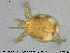  ( - HYDCA346)  @11 [ ] Creative Commons  Attribution Non-Commercial Share-Alike (2020) NTNU University Museum, Department of Natural History NTNU University Museum, Department of Natural History