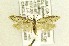  ( - CNCLEP00146483)  @13 [ ] CreativeCommons - Attribution Non-Commercial Share-Alike (2017) Canadian National Collection Canadian National Collection