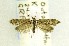  ( - NFRC-2017-01510)  @14 [ ] CreativeCommons - Attribution Non-Commercial Share-Alike (2017) Canadian National Collection Canadian National Collection