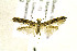  ( - AC007902)  @13 [ ] CreativeCommons - Attribution Non-Commercial Share-Alike (2018) Jean-François Landry Canadian National Collection