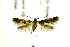 ( - AC008171)  @13 [ ] CreativeCommons - Attribution Non-Commercial Share-Alike (2018) Jean-François Landry Canadian National Collection