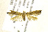  ( - AC008195)  @11 [ ] CreativeCommons - Attribution Non-Commercial Share-Alike (2018) Jean-François Landry Canadian National Collection