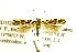  ( - JD1527)  @11 [ ] CreativeCommons - Attribution Non-Commercial Share-Alike (2018) Jean-François Landry Canadian National Collection