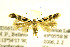  ( - JD1612)  @11 [ ] CreativeCommons - Attribution Non-Commercial Share-Alike (2018) Jean-François Landry Canadian National Collection