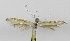  ( - CNCLEP00175026)  @11 [ ] CreativeCommons - Attribution Non-Commercial Share-Alike (2018) Jean-Francois Landry Canadian National Collection