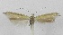 ( - CNCLEP00175027)  @11 [ ] CreativeCommons - Attribution Non-Commercial Share-Alike (2018) Jean-Francois Landry Canadian National Collection