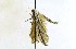  ( - GL.8419)  @11 [ ] CreativeCommons - Attribution Non-Commercial Share-Alike (2018) Jean-Francois Landry Canadian National Collection