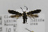  ( - CNCLEP00000248)  @12 [ ] CreativeCommons - Attribution Non-Commercial Share-Alike (2013) Jean-Francois Landry Canadian National Collection