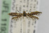  ( - CNCLEP00014225)  @12 [ ] CreativeCommons - Attribution Non-Commercial Share-Alike (2013) Jean-Francois Landry Canadian National Collection