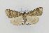  ( - CNCLEP00098204)  @14 [ ] CreativeCommons - Attribution Non-Commercial Share-Alike (2013) Jean-Francois Landry Canadian National Collection