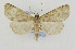  ( - CNCLEP00098210)  @14 [ ] CreativeCommons - Attribution Non-Commercial Share-Alike (2013) Jean-Francois Landry Canadian National Collection
