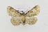  ( - CNCLEP00098225)  @14 [ ] CreativeCommons - Attribution Non-Commercial Share-Alike (2013) Jean-Francois Landry Canadian National Collection