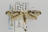  ( - CNCLEP00098318)  @14 [ ] CreativeCommons - Attribution Non-Commercial Share-Alike (2013) Jean-Francois Landry Canadian National Collection