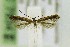  ( - AC007843)  @12 [ ] CreativeCommons - Attribution Non-Commercial Share-Alike (2017) Jean-Francois Landry Canadian National Collection