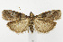  ( - CNCLEP00038553)  @14 [ ] CreativeCommons - Attribution Non-Commercial Share-Alike (2007) Unspecified Canadian National Collection