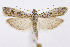  ( - CNCLEP00038577)  @14 [ ] CreativeCommons - Attribution Non-Commercial Share-Alike (2007) Unspecified Canadian National Collection