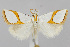  ( - CNCLEP00038600)  @15 [ ] CreativeCommons - Attribution Non-Commercial Share-Alike (2007) Unspecified Canadian National Collection