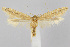  ( - CNCLEP00038625)  @14 [ ] CreativeCommons - Attribution Non-Commercial Share-Alike (2007) Unspecified Canadian National Collection