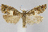  ( - CNCLEP00038676)  @13 [ ] CreativeCommons - Attribution Non-Commercial Share-Alike (2007) Unspecified Canadian National Collection