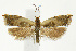  ( - CNCLEP00038686)  @14 [ ] CreativeCommons - Attribution Non-Commercial Share-Alike (2007) Unspecified Canadian National Collection