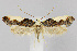  ( - CNCLEP00040216)  @14 [ ] CreativeCommons - Attribution Non-Commercial Share-Alike (2007) Unspecified Canadian National Collection