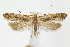  ( - CNCLEP00040242)  @14 [ ] CreativeCommons - Attribution Non-Commercial Share-Alike (2007) Unspecified Canadian National Collection