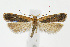  ( - CNCLEP00040244)  @14 [ ] CreativeCommons - Attribution Non-Commercial Share-Alike (2007) Unspecified Canadian National Collection