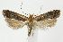  ( - CNCLEP00040248)  @14 [ ] CreativeCommons - Attribution Non-Commercial Share-Alike (2007) Unspecified Canadian National Collection