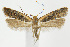  ( - CNCLEP00040249)  @14 [ ] CreativeCommons - Attribution Non-Commercial Share-Alike (2007) Unspecified Canadian National Collection
