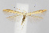  ( - CNCLEP00040286)  @13 [ ] CreativeCommons - Attribution Non-Commercial Share-Alike (2007) Unspecified Canadian National Collection