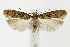  ( - CNCLEP00040639)  @14 [ ] CreativeCommons - Attribution Non-Commercial Share-Alike (2007) Unspecified Canadian National Collection