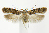  ( - CNCLEP00040651)  @14 [ ] CreativeCommons - Attribution Non-Commercial Share-Alike (2007) Unspecified Canadian National Collection
