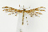  ( - CNCLEP00040662)  @14 [ ] CreativeCommons - Attribution Non-Commercial Share-Alike (2007) Unspecified Canadian National Collection