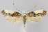  ( - CNCLEP00040711)  @14 [ ] CreativeCommons - Attribution Non-Commercial Share-Alike (2007) Unspecified Canadian National Collection