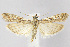  ( - CNCLEP00040813)  @15 [ ] CreativeCommons - Attribution Non-Commercial Share-Alike (2007) Unspecified Canadian National Collection