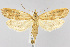  ( - CNCLEP00041016)  @14 [ ] CreativeCommons - Attribution Non-Commercial Share-Alike (2007) Unspecified Canadian National Collection