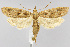  ( - CNCLEP00041017)  @15 [ ] CreativeCommons - Attribution Non-Commercial Share-Alike (2007) Unspecified Canadian National Collection